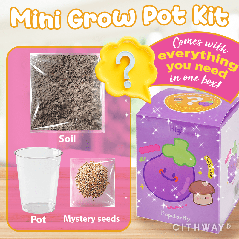 Cithway® Mystery Bloom Kids Mini Garden Blind Box