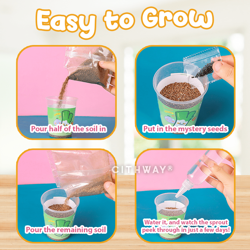 Cithway® Mystery Bloom Kids Mini Garden Blind Box