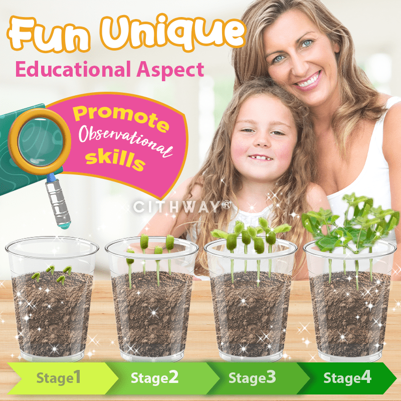 Cithway® Mystery Bloom Kids Mini Garden Blind Box