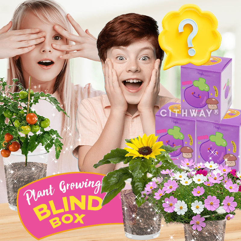 Cithway® Mystery Bloom Kids Mini Garden Blind Box